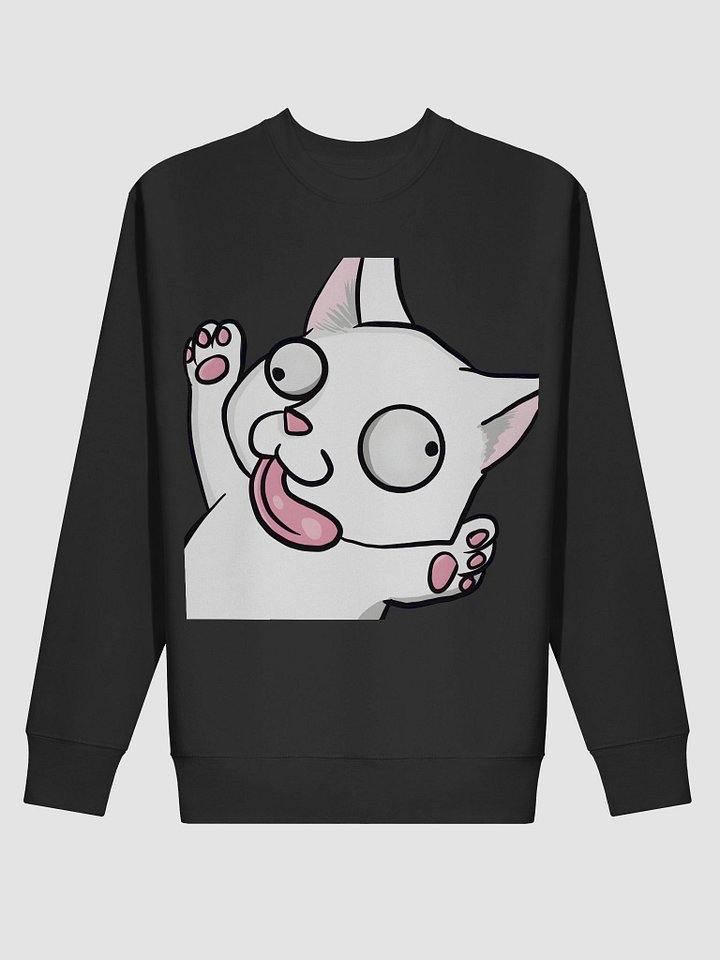 Alex da Catto Sweatshirt product image (2)