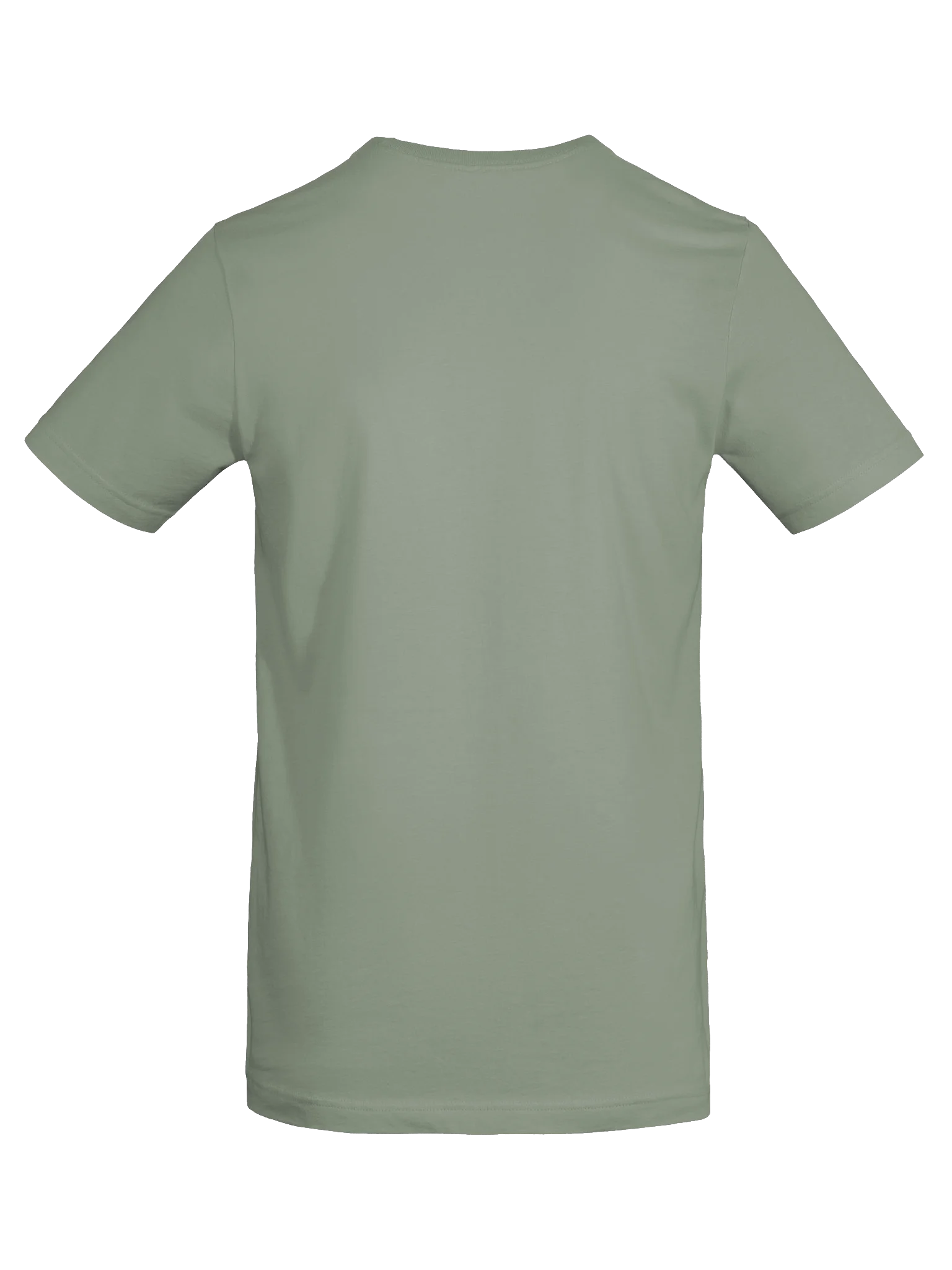 Highly Favored. Dangerously literate. Green tee. product image (6)