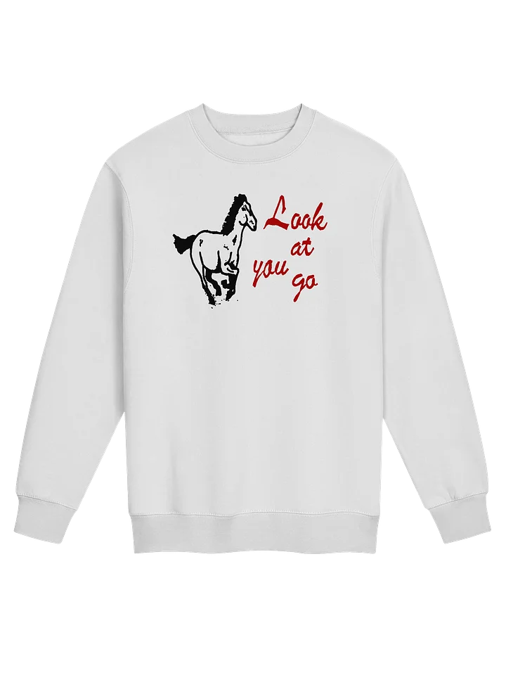LOOK AT YOU GO SWEATSHIRT product image (1)