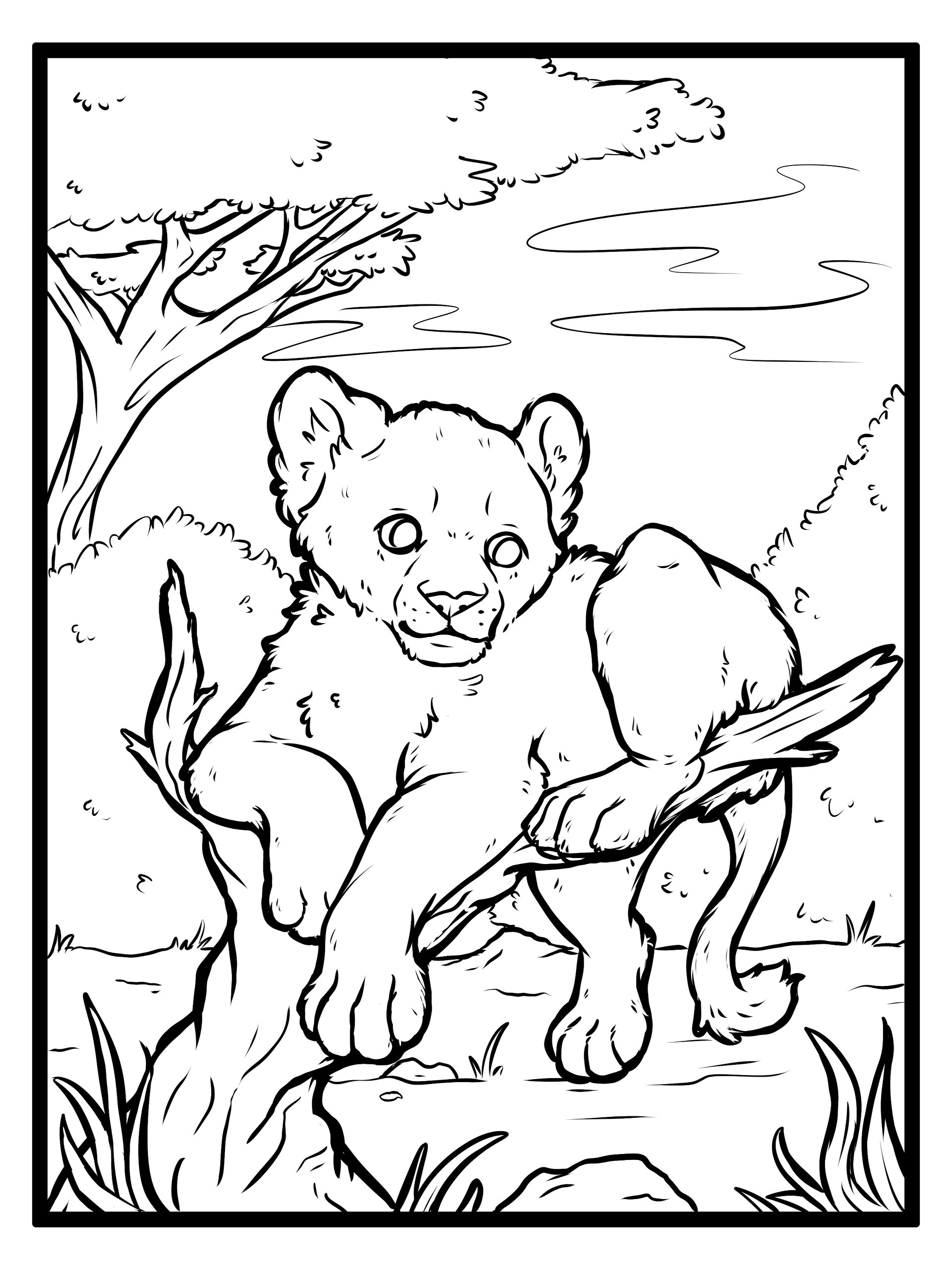 African Lion Collection - Coloring Pages product image (8)