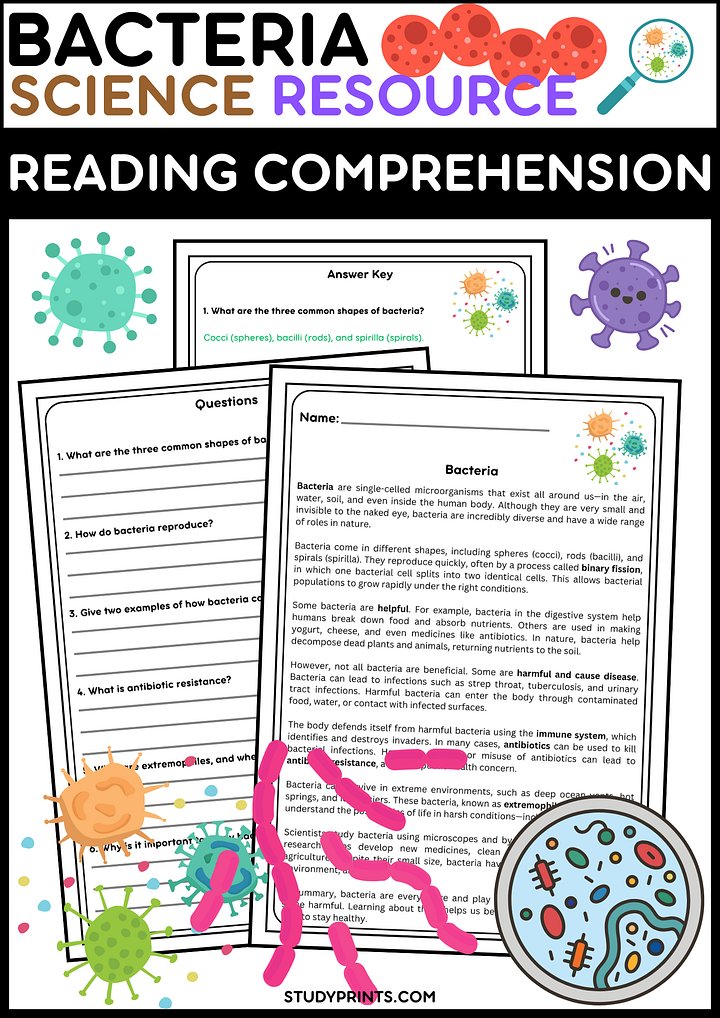 Bacteria Reading Passage with Comprehension Questions | Science Resource product image (1)