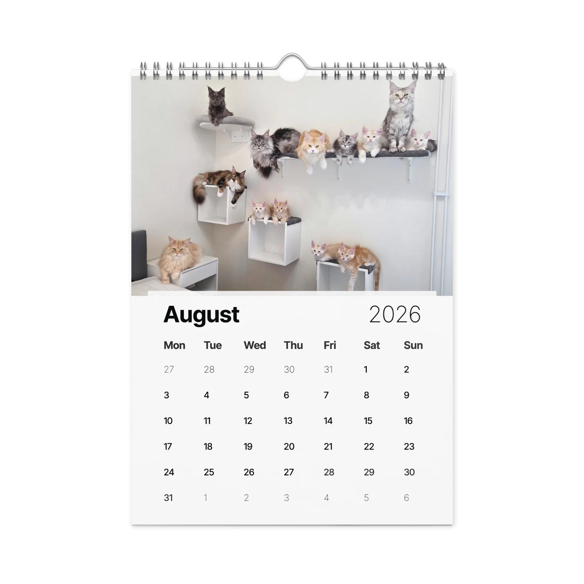 2026 Calendar - Maine Coon Adventures + Kittens product image (5)
