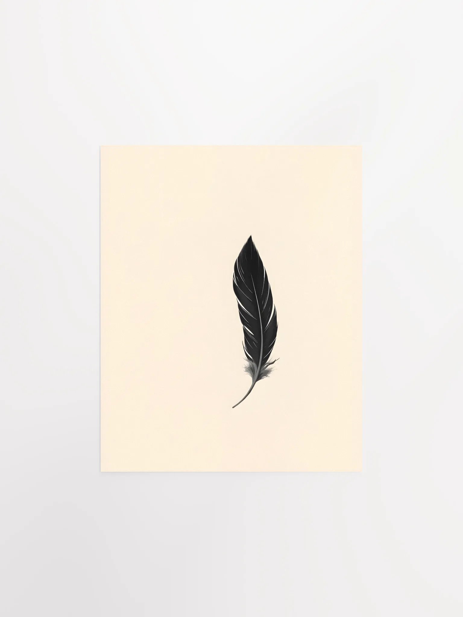 Elegant Black Feather product image (2)