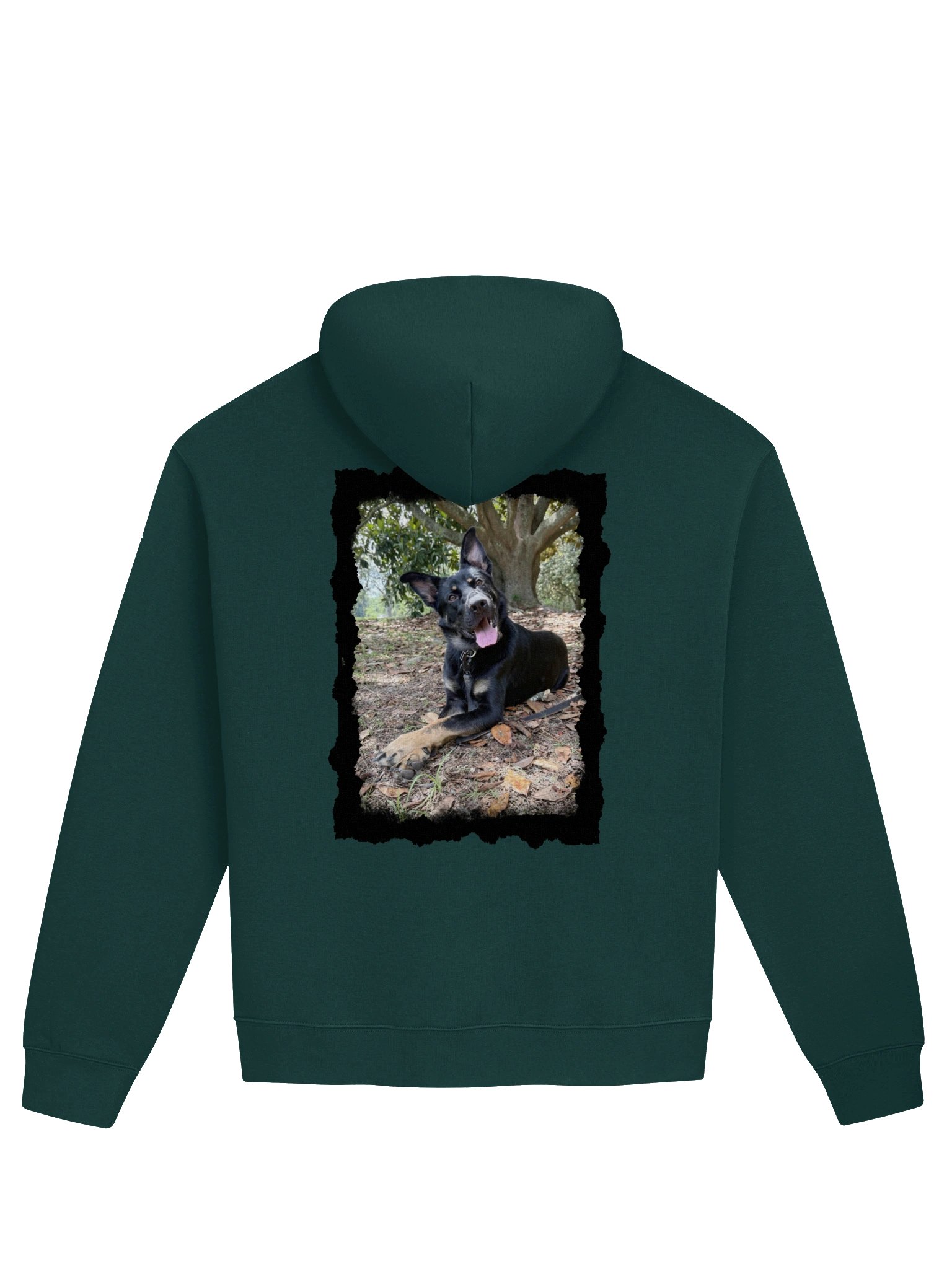 Oden Mascot Hoodie product image (2)