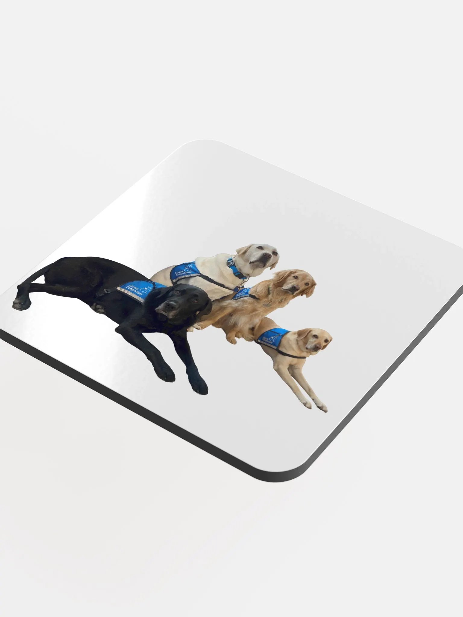 Facility Dogs Coaster product image (4)