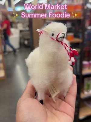 🌞 #snacks I found @World Market 🩷💕🌸 #summer #shopping 💕🐝✨#girlythings 💗