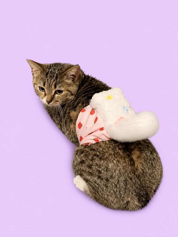 Cat Butt Patting Device product image (2)