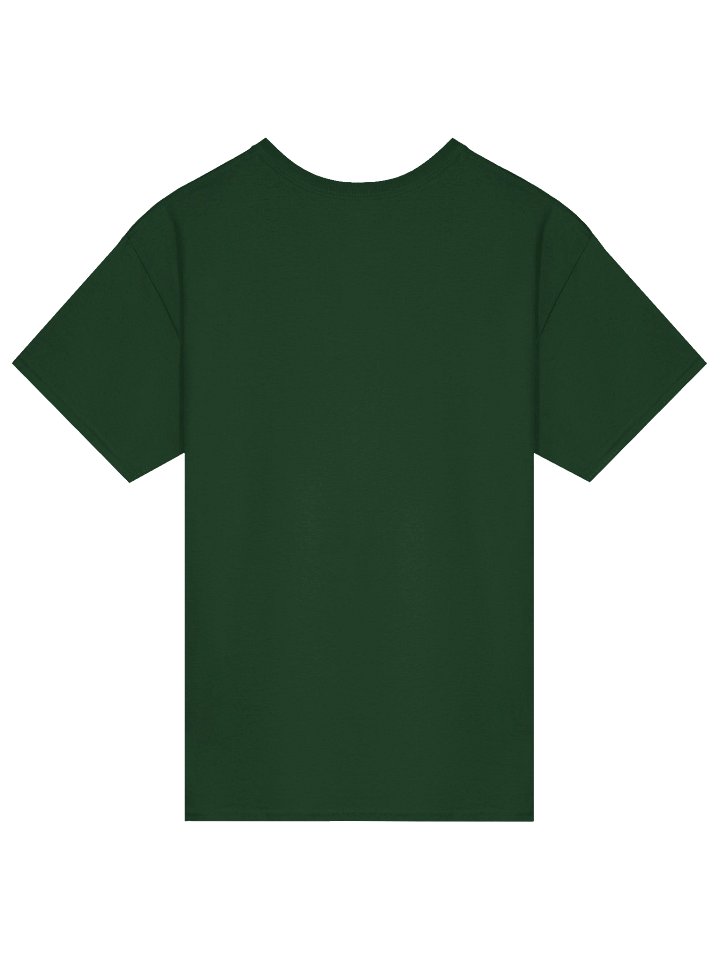 Sage and Crystal Vibes T-Shirt product image (26)