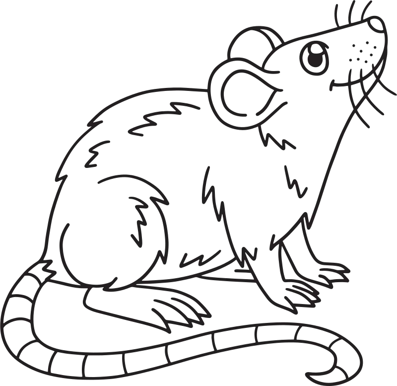 Animal Coloring Pages product image (2)