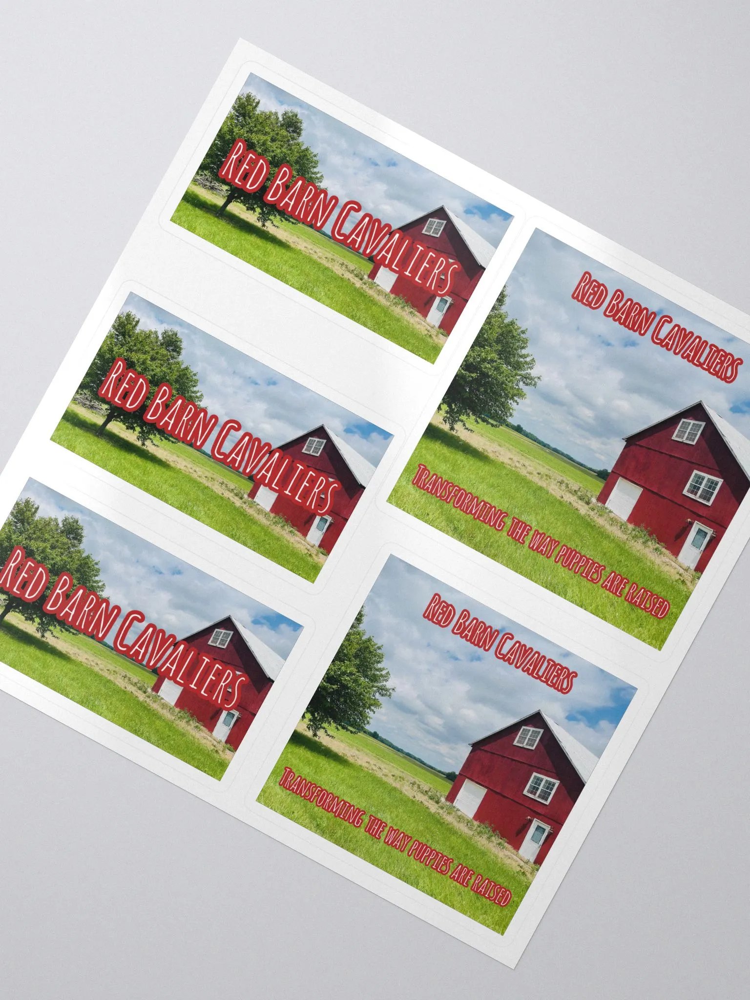 RBC Logo Sticker Set product image (3)