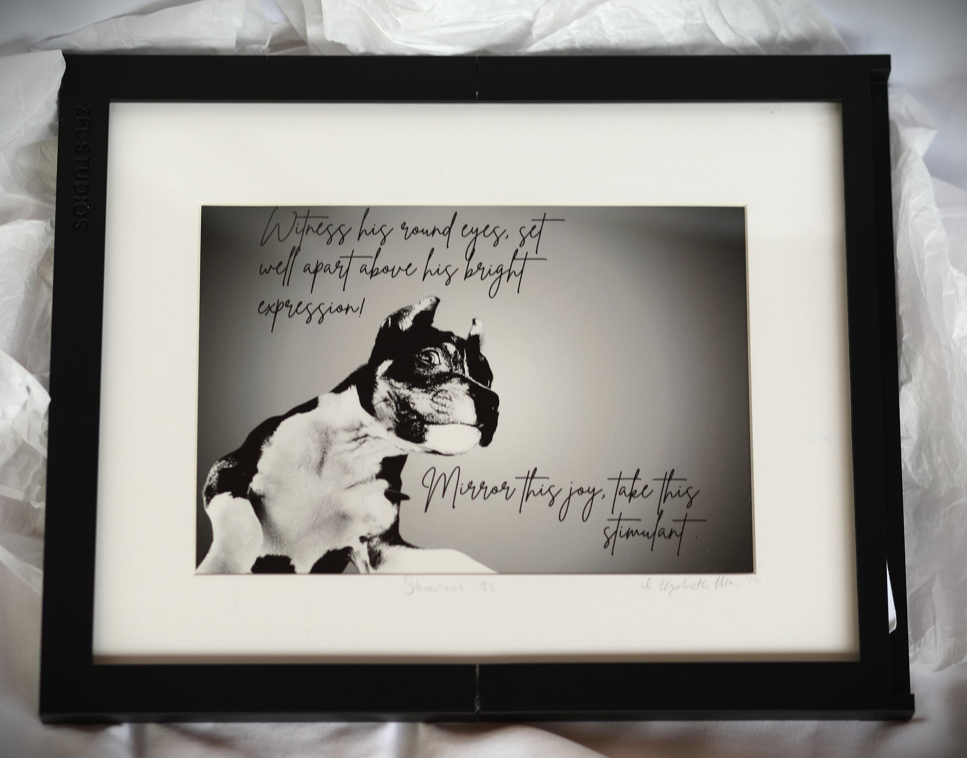 Limited Edition Puppy Giclée Print – Signed American Pit Bull Terrier Art product image (1)