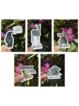 Funny Stickers Bundle Offer