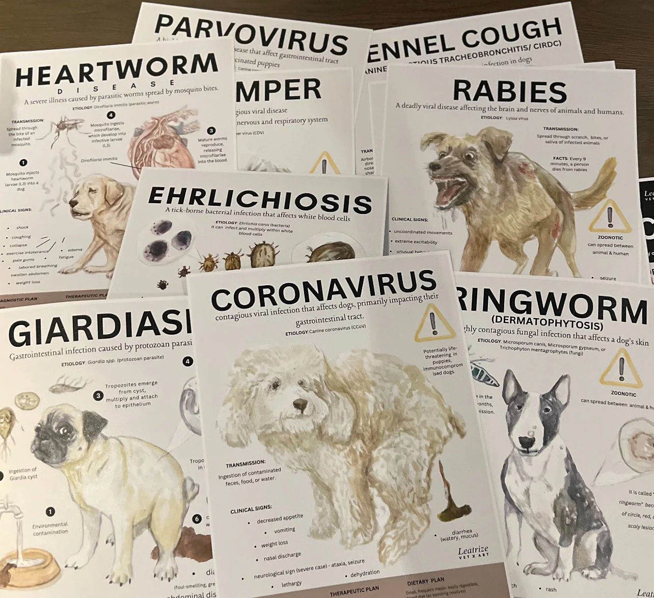 Vet Clinic Wall Art: 12 Infectious Disease Posters product image (3)
