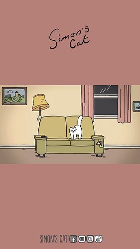 When you buy new furniture...🥲