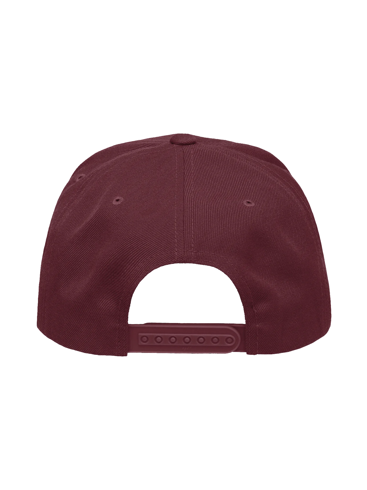 Stray Snapback product image (3)