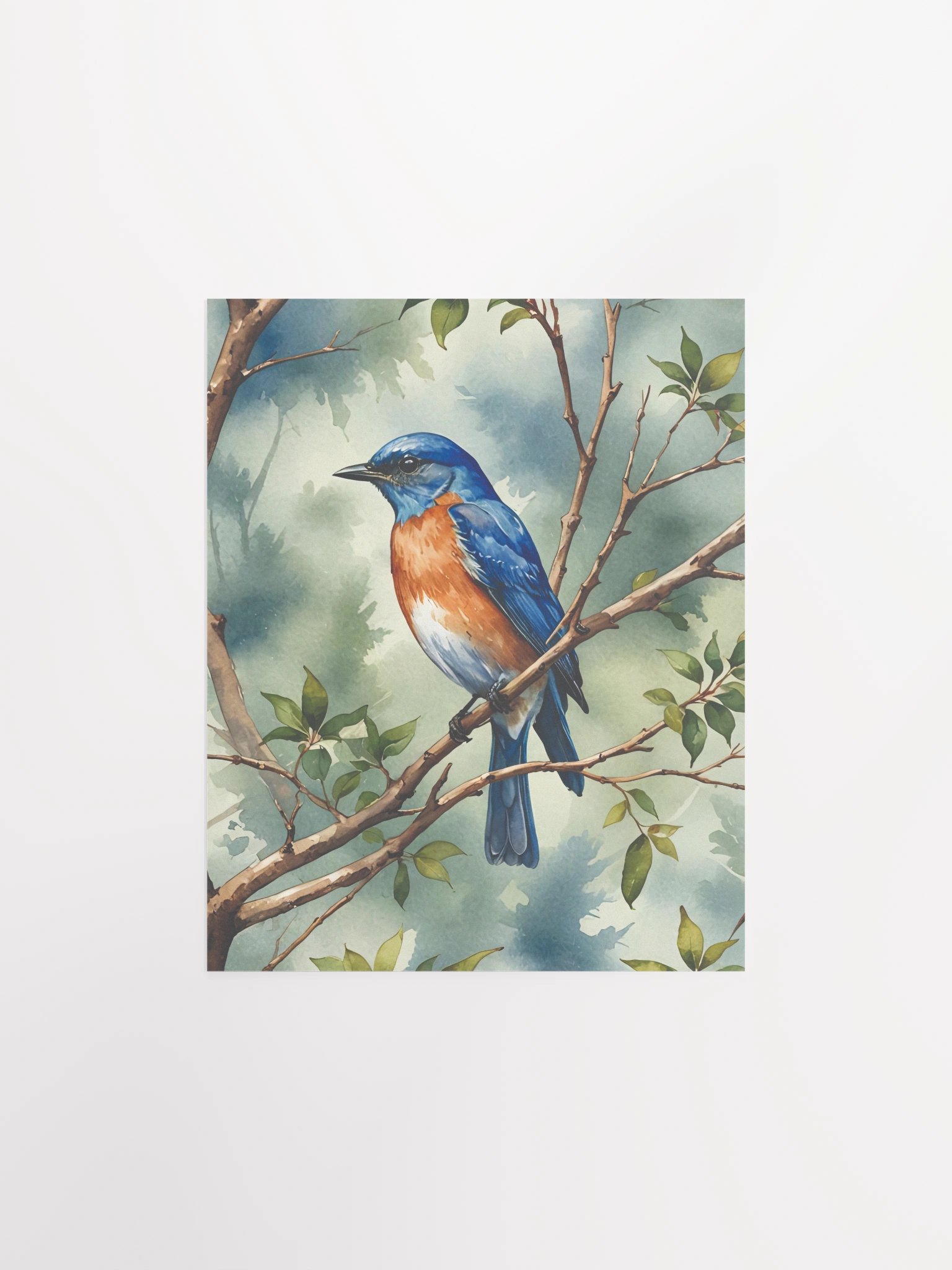 Eastern Bluebird Matte Poster product image (2)