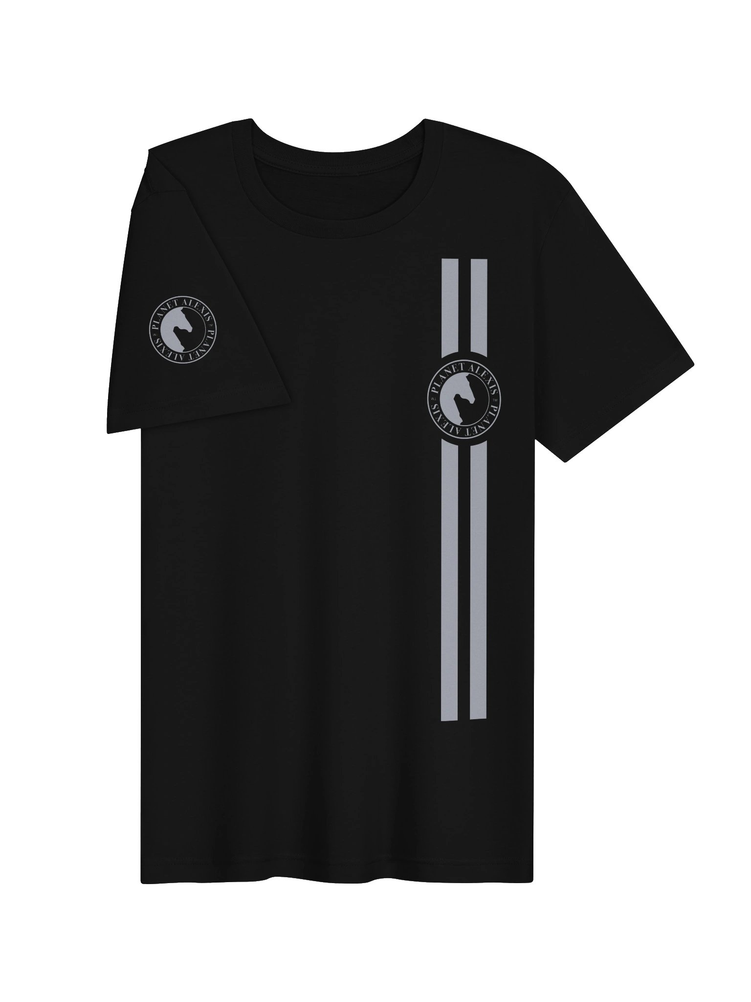 Planet Alexis Circle Emblem Tee product image (3)