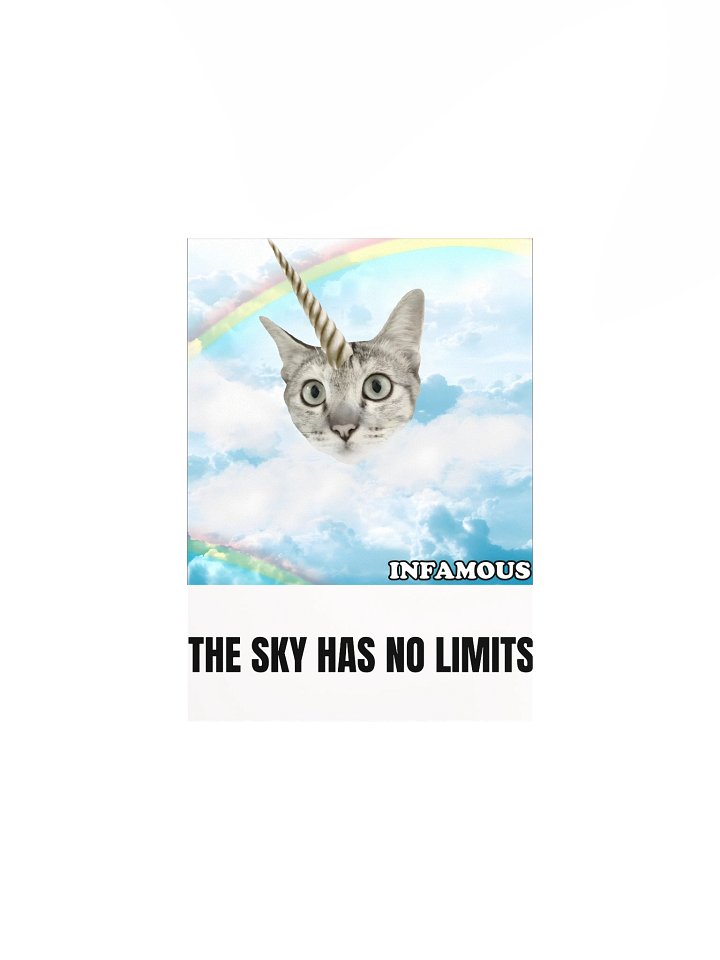 The Sky Has No Limits Cat Poster product image (1)