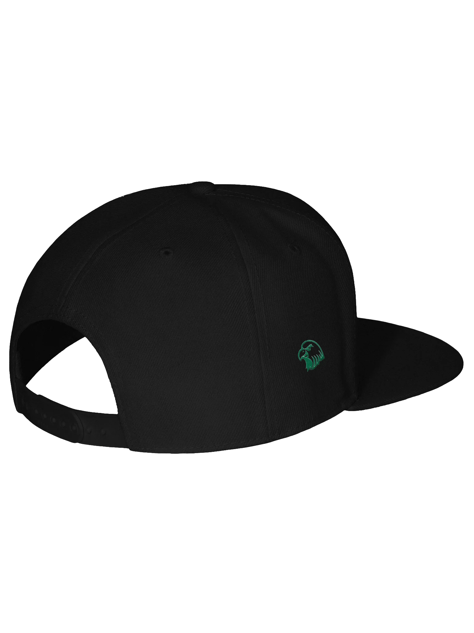 Fearless CMU Christian Snapback product image (15)