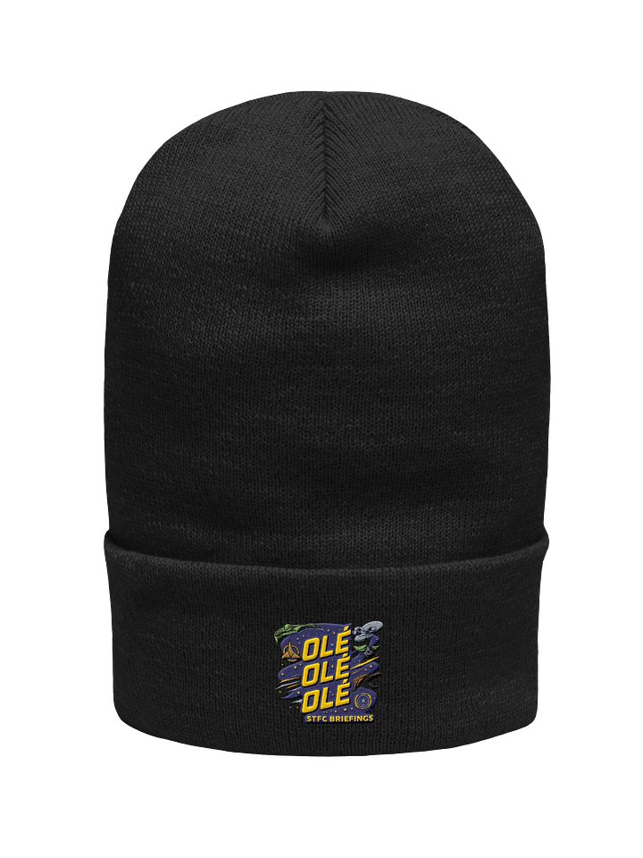 STFC Briefings Ole Ole Ole Collection Beanie product image (1)