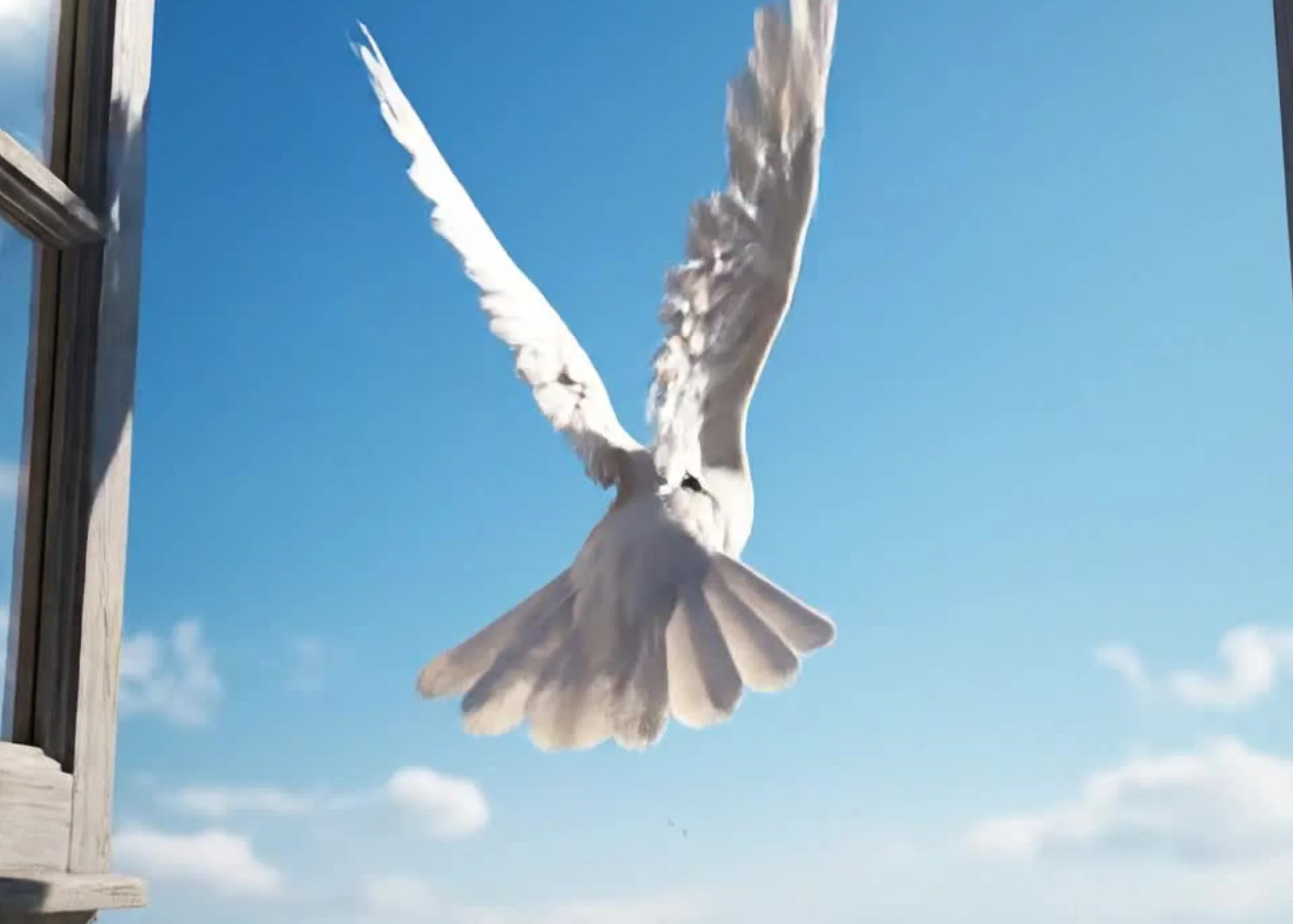 Transformed Not Gone: Condolence product image (3)