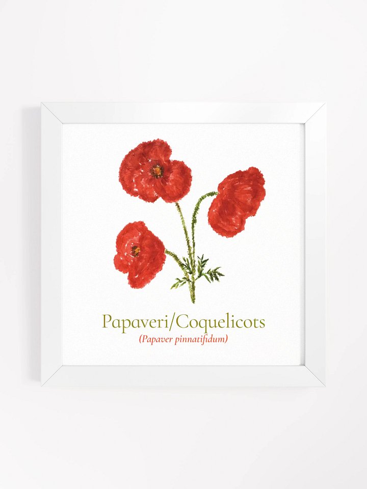 Papaveri Botanicus Frame product image (2)