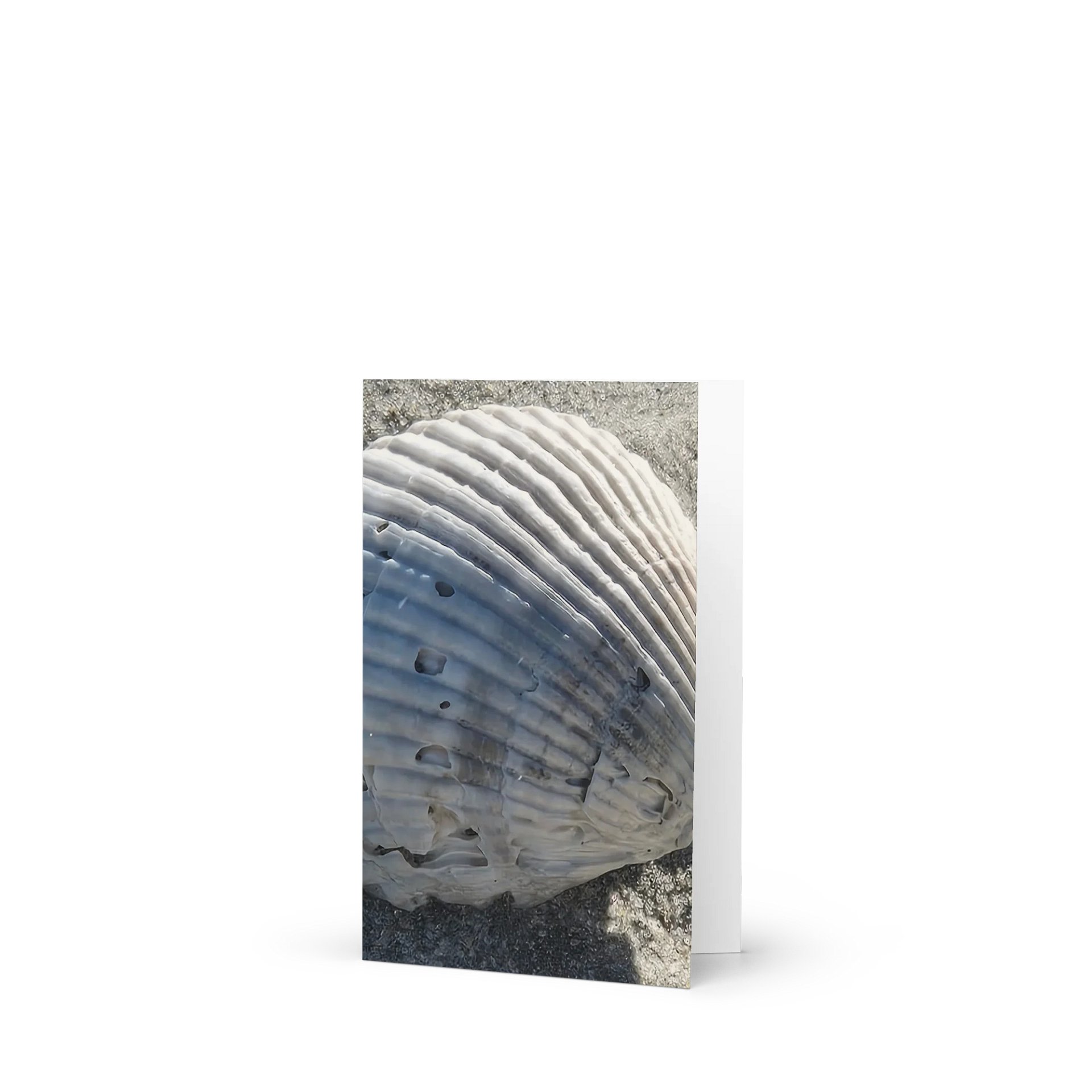 Seashell Tranquility Greeting Card product image (1)