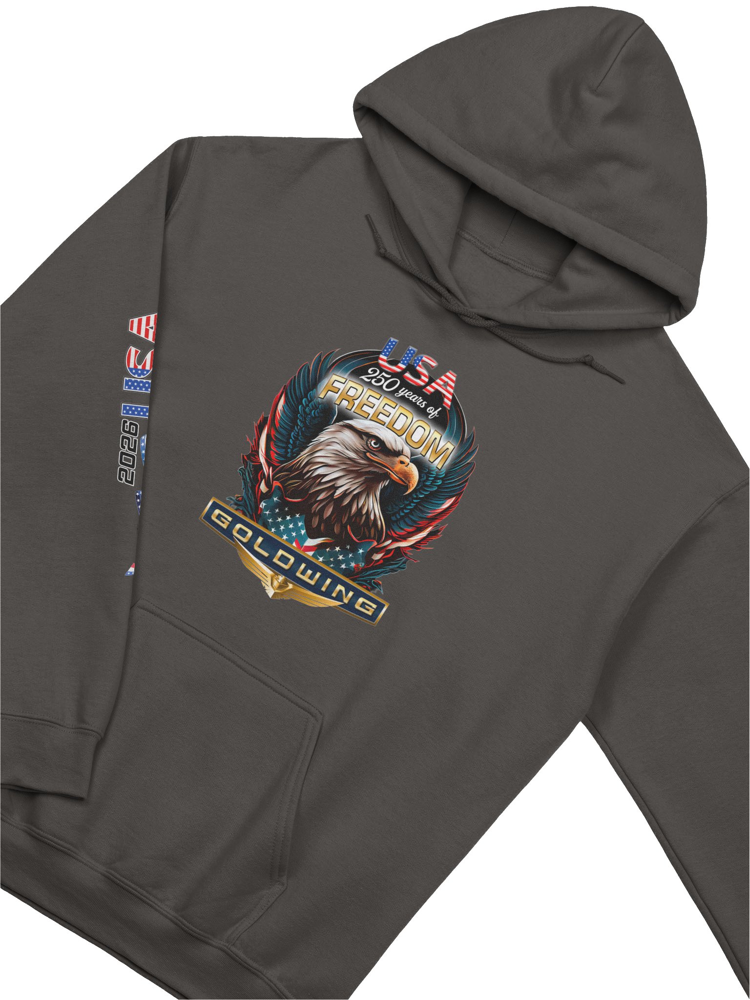 America 250 GOLDWING Hoodie product image (21)