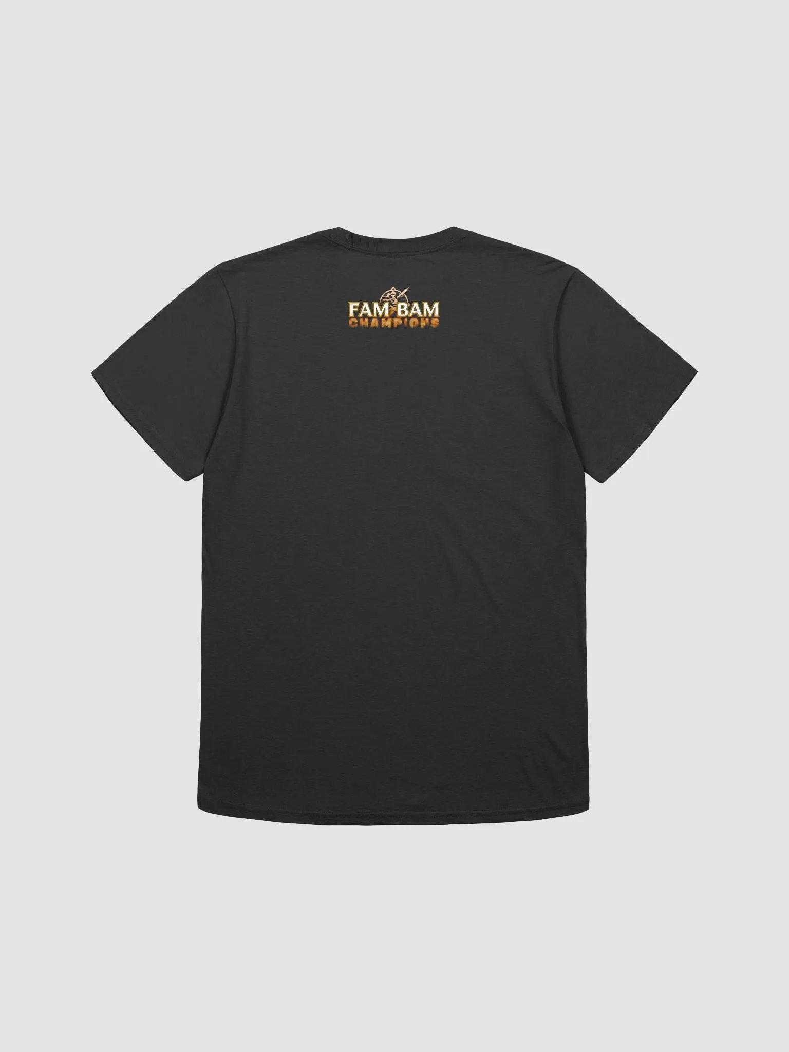 DSD Champions Tee product image (4)