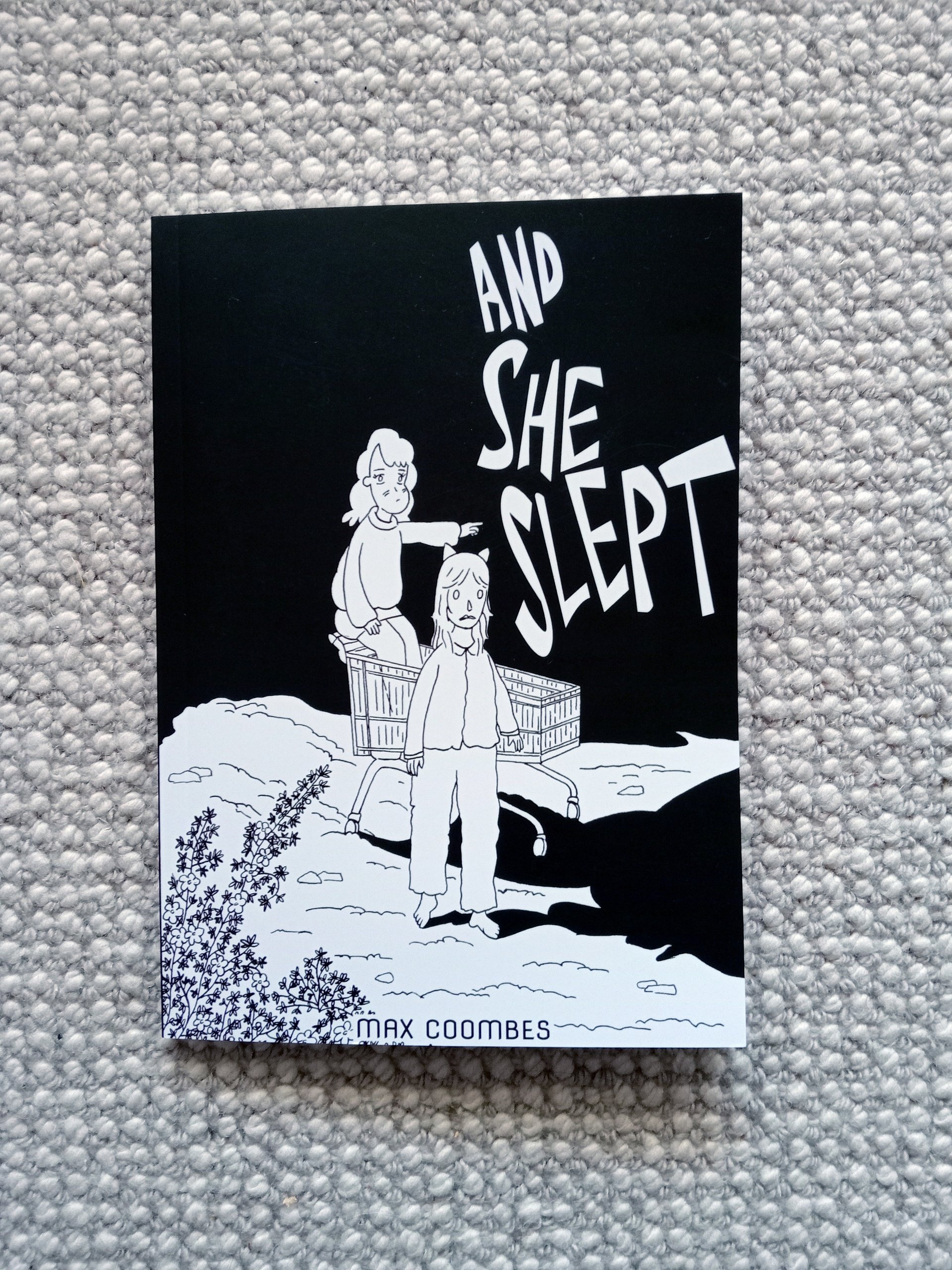 And She Slept product image (1)
