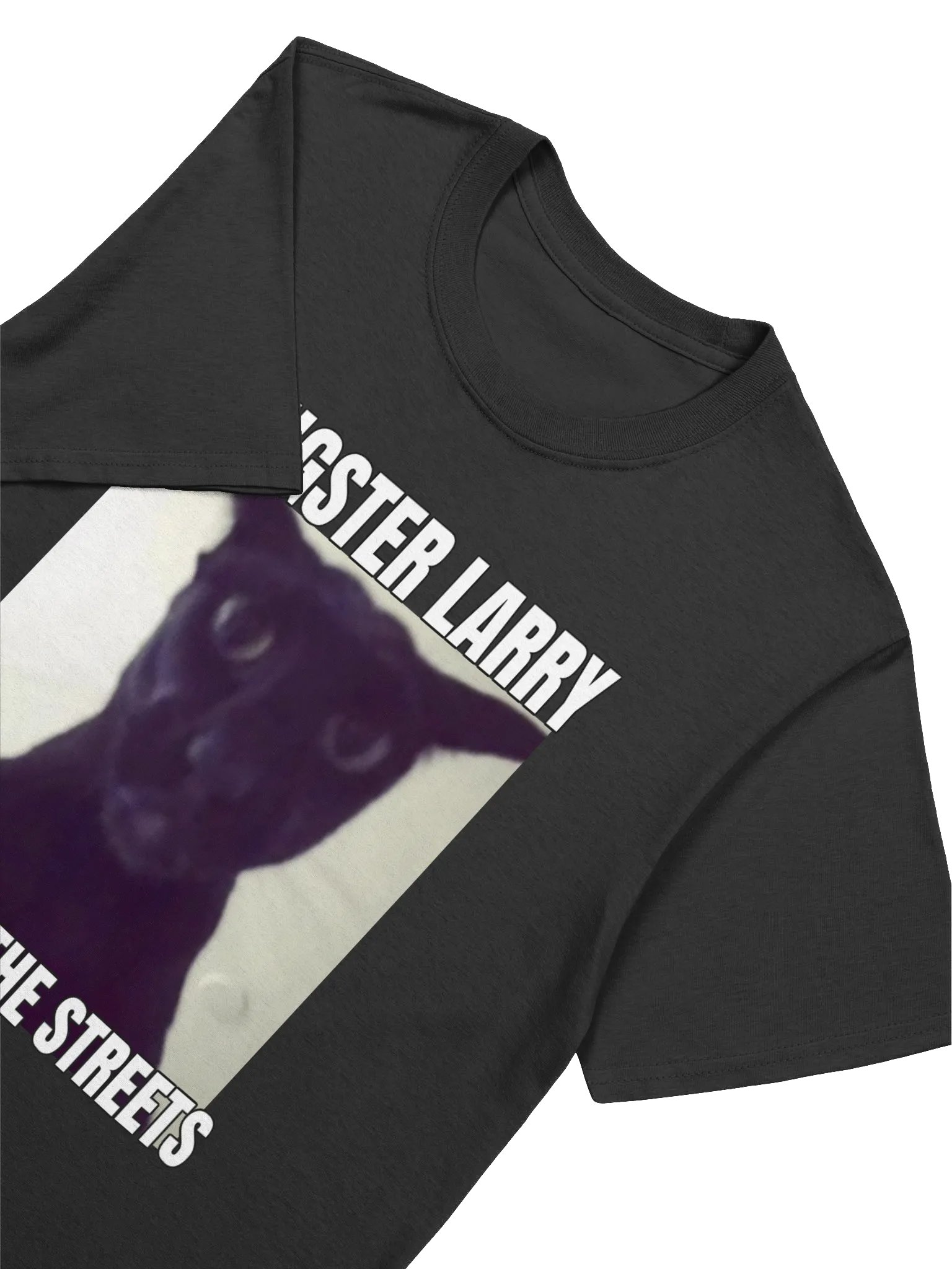 GANGSTER LARRY T-Shirt product image (3)