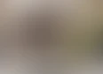 #CurrySoup's tag thumbnail