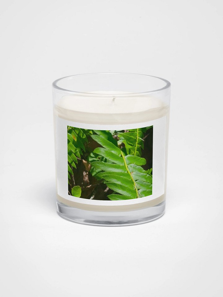 Fern Leaf Soy Candle product image (1)