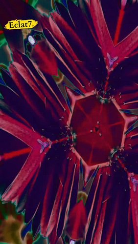5 seconds imagine even more 🫨 check out New video we posted today for 10 10 10 energy to Go within and explore imagination 🎨 ...