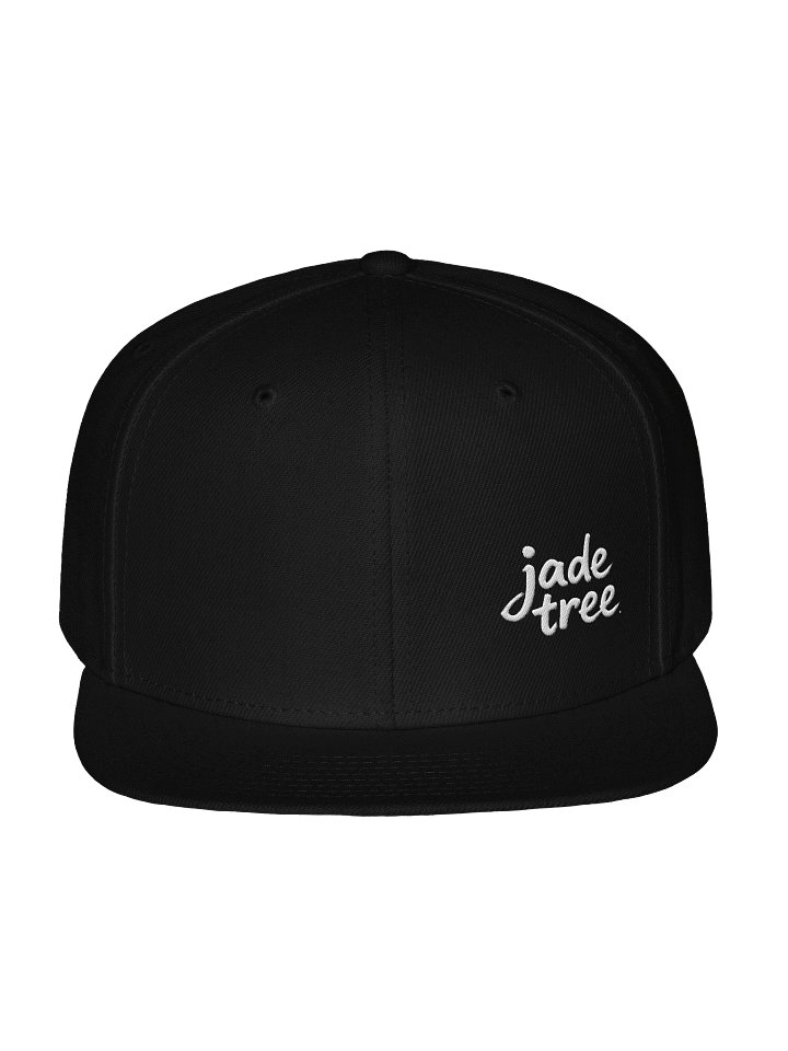 Snapback Cap product image (1)