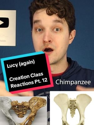 Pt. 12 - You know where to find the full video. #science #biology #evolution #life #learnontiktok 