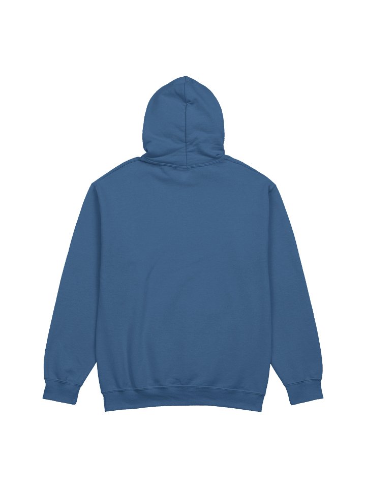 HEALED CLASSIC FIRST EDITION HOODIE product image (23)