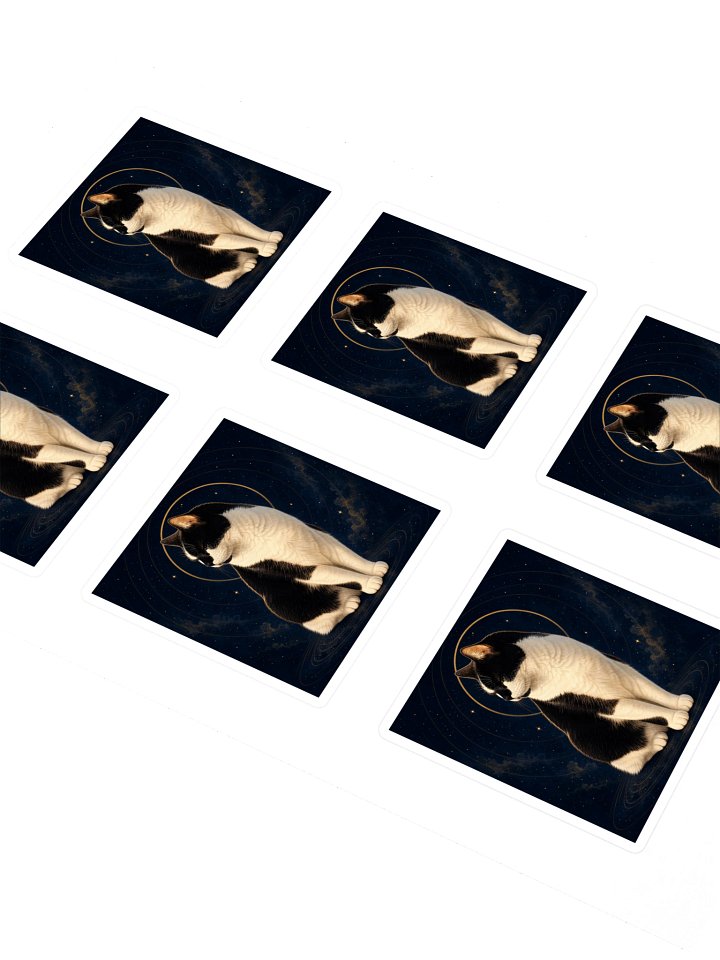 Mister Kitty Cosmic Sticker product image (2)