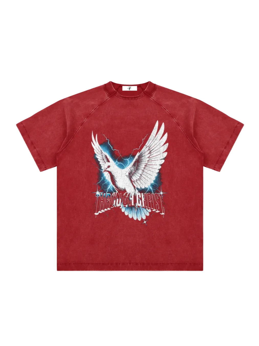 Through Christ Dove Tee product image (6)