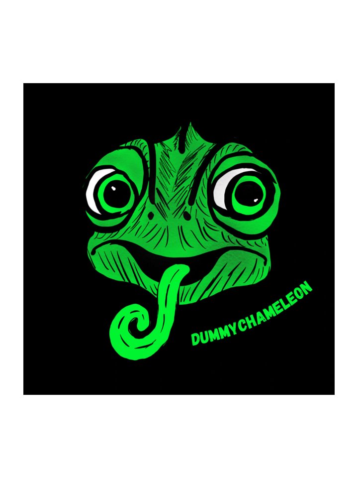 chameleon stickers product image (2)