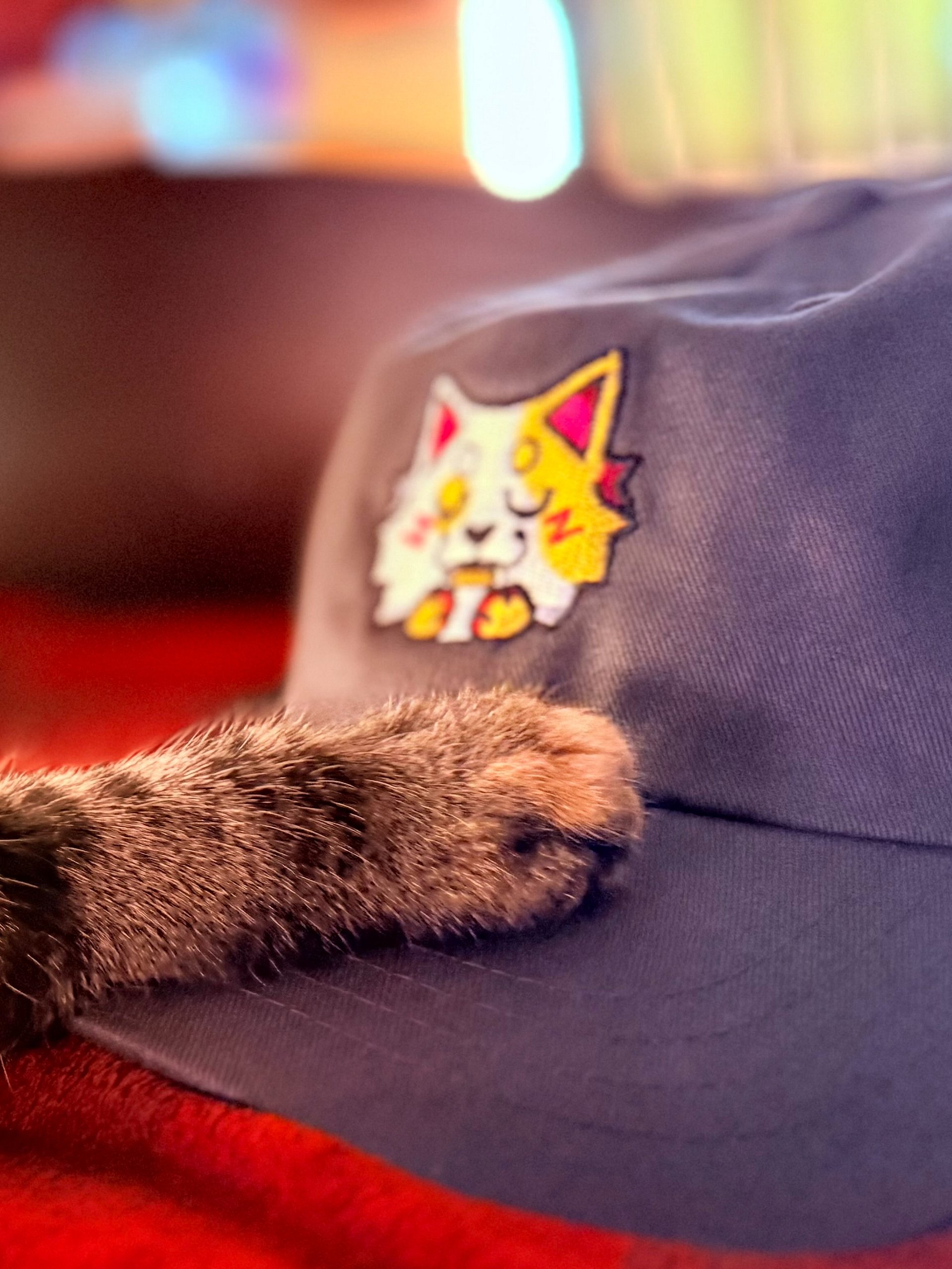 Coffee Bean | Embroidered Cap product image (3)