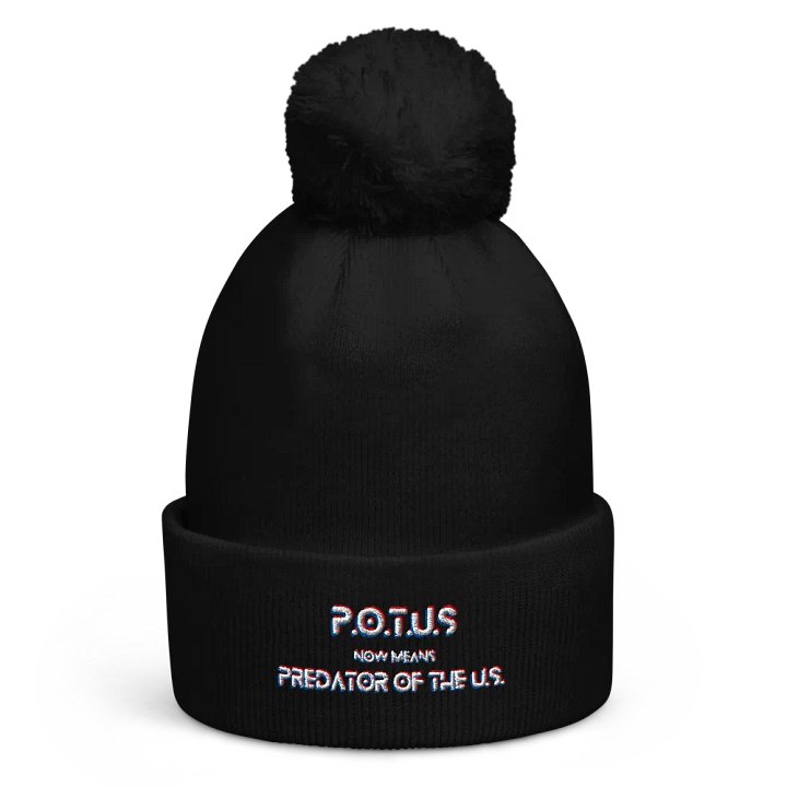 Resistors, What POTUS Now Means, Pom Beanie product image (1)
