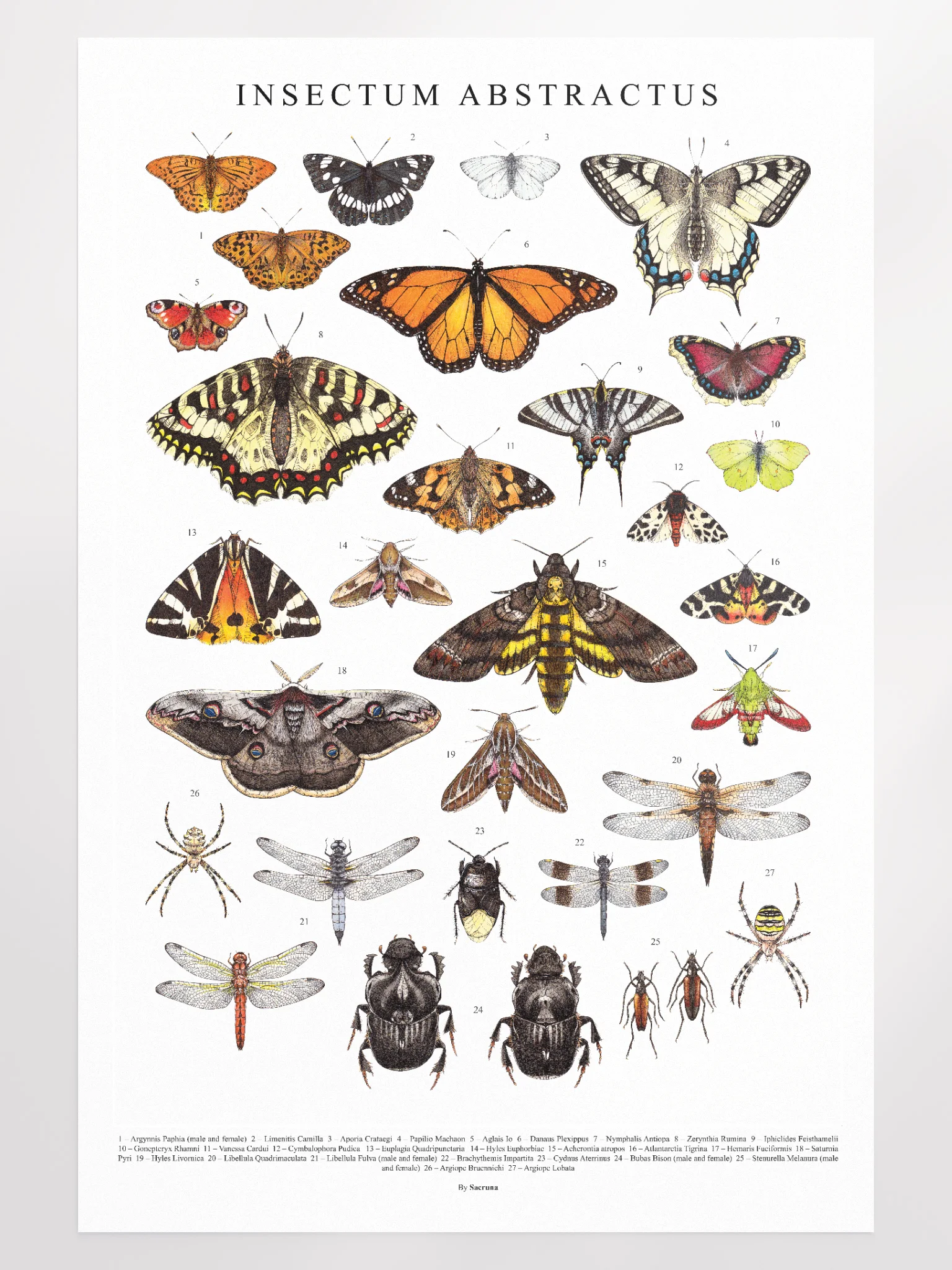 Insectum Abstractus, Whole • Framed Print product image (25)