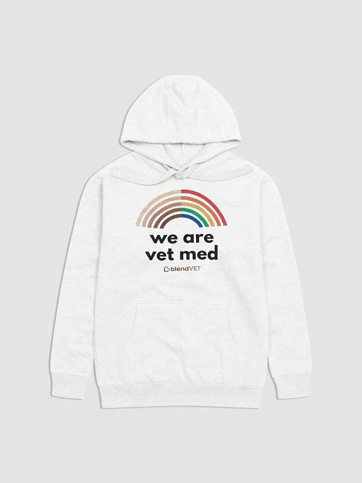 Pride - We Are Vet Med Hoodie product image (2)
