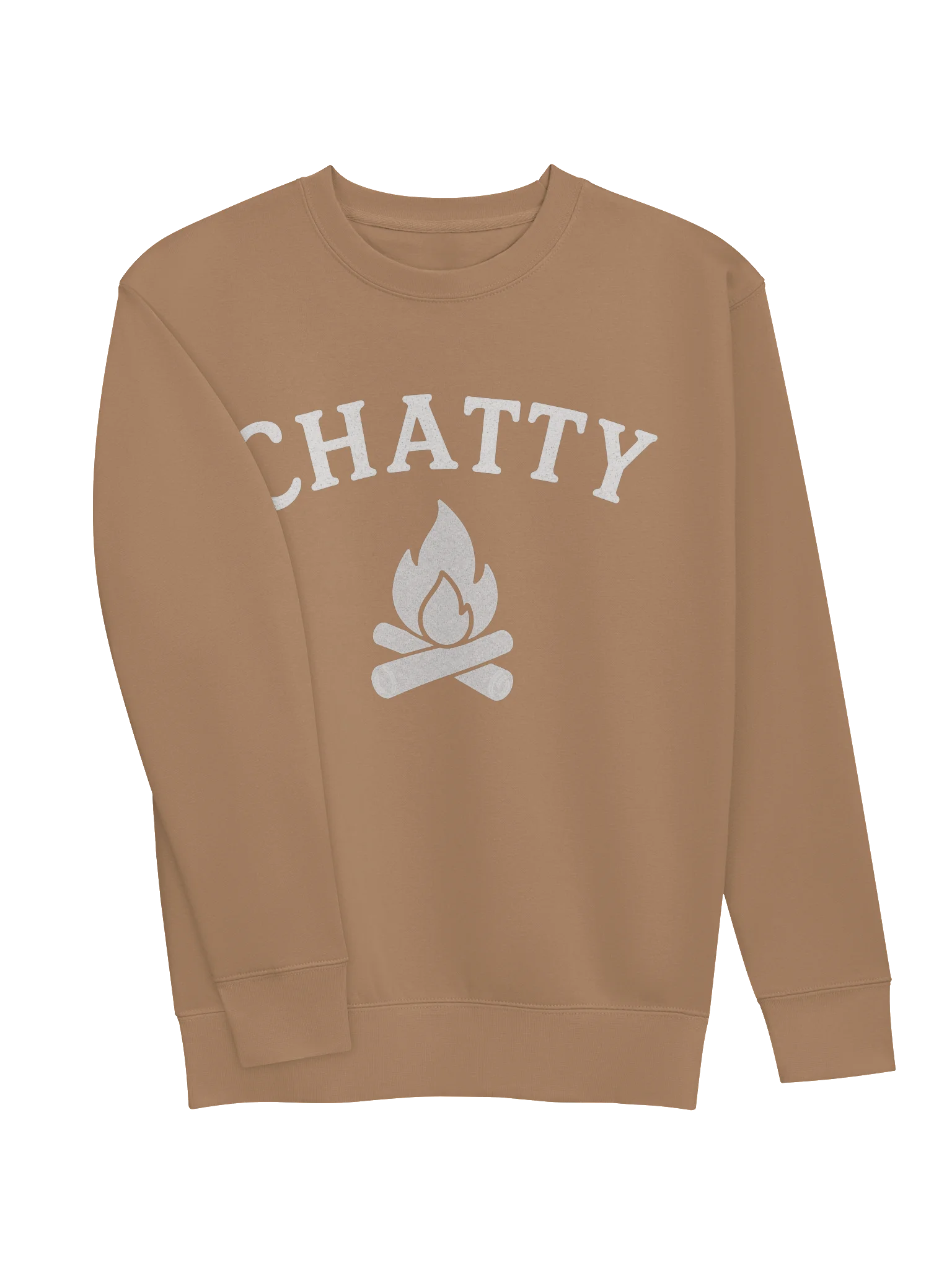 Chatty Campfire Premium Sweatshirt | Cozy Chatty Fall Collection product image (27)