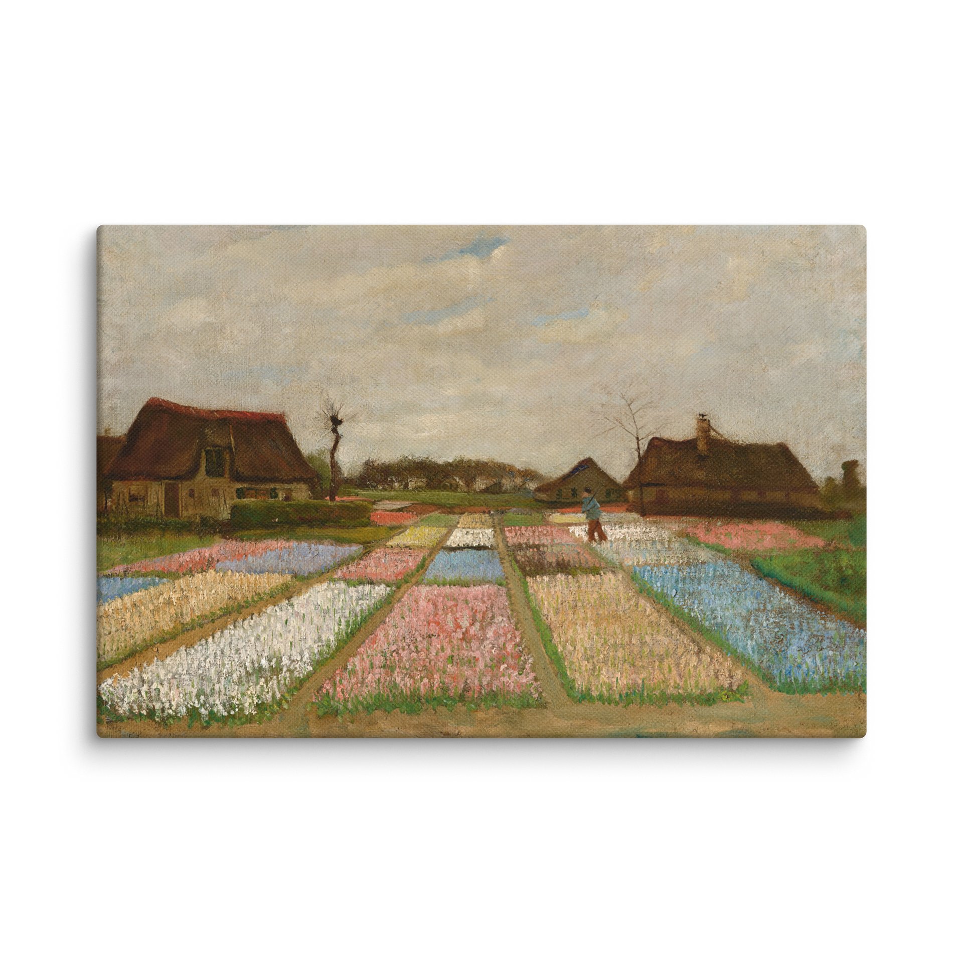 Flower Beds in Holland Canvas product image (2)