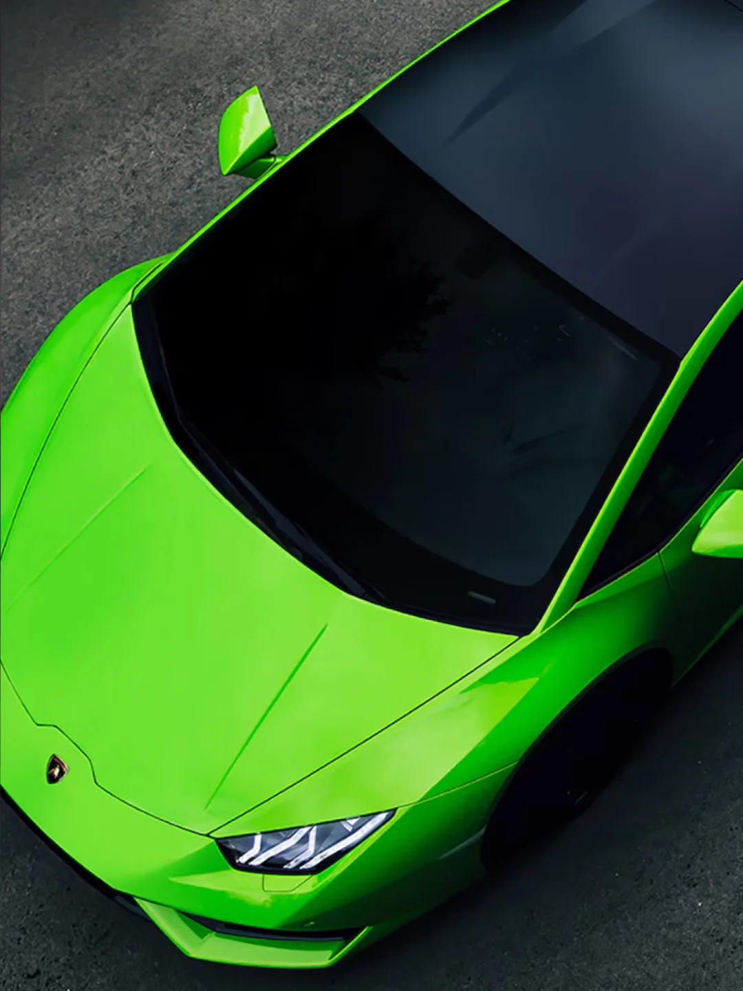 Lamborghini Mantis product image (3)