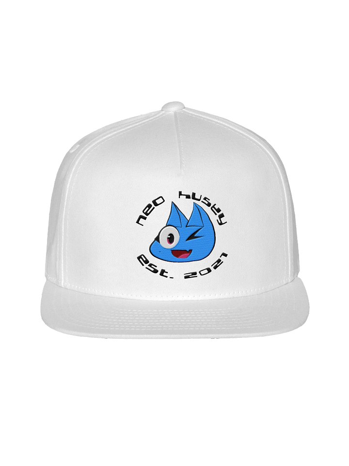 Retro Snap Back product image (1)