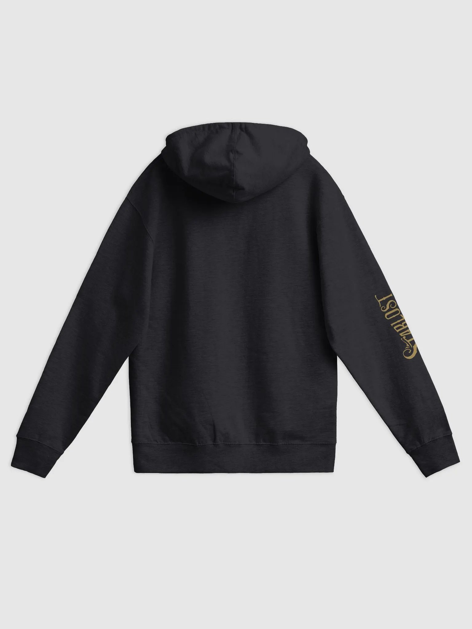 Starlost Logo Zipper Hoodie product image (8)