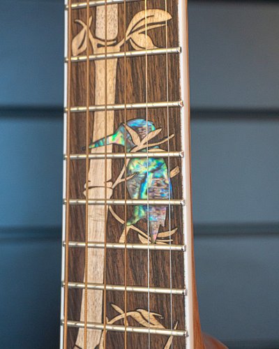 🎸 The Lindo Bamboo Voyager V2 features a bone nut, mahogany neck, and laurel fretboard for producing warm, resonant tones. 🤩 ...